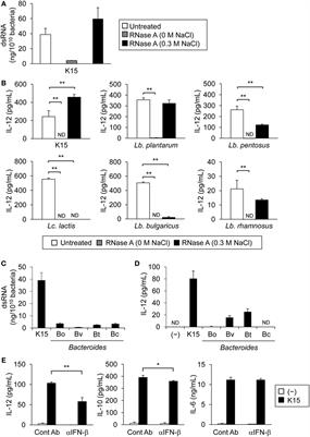 Double-Stranded RNA Derived from Lactic Acid Bacteria Augments Th1 Immunity via Interferon-β from Human Dendritic Cells